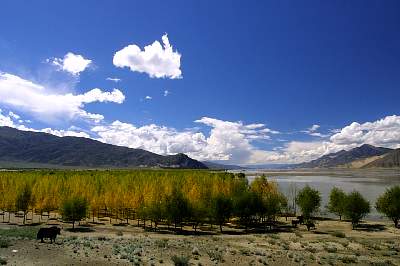 Kairen's_Tibet_47_2001-09-25 08.15.27 IMG_4613.JPG